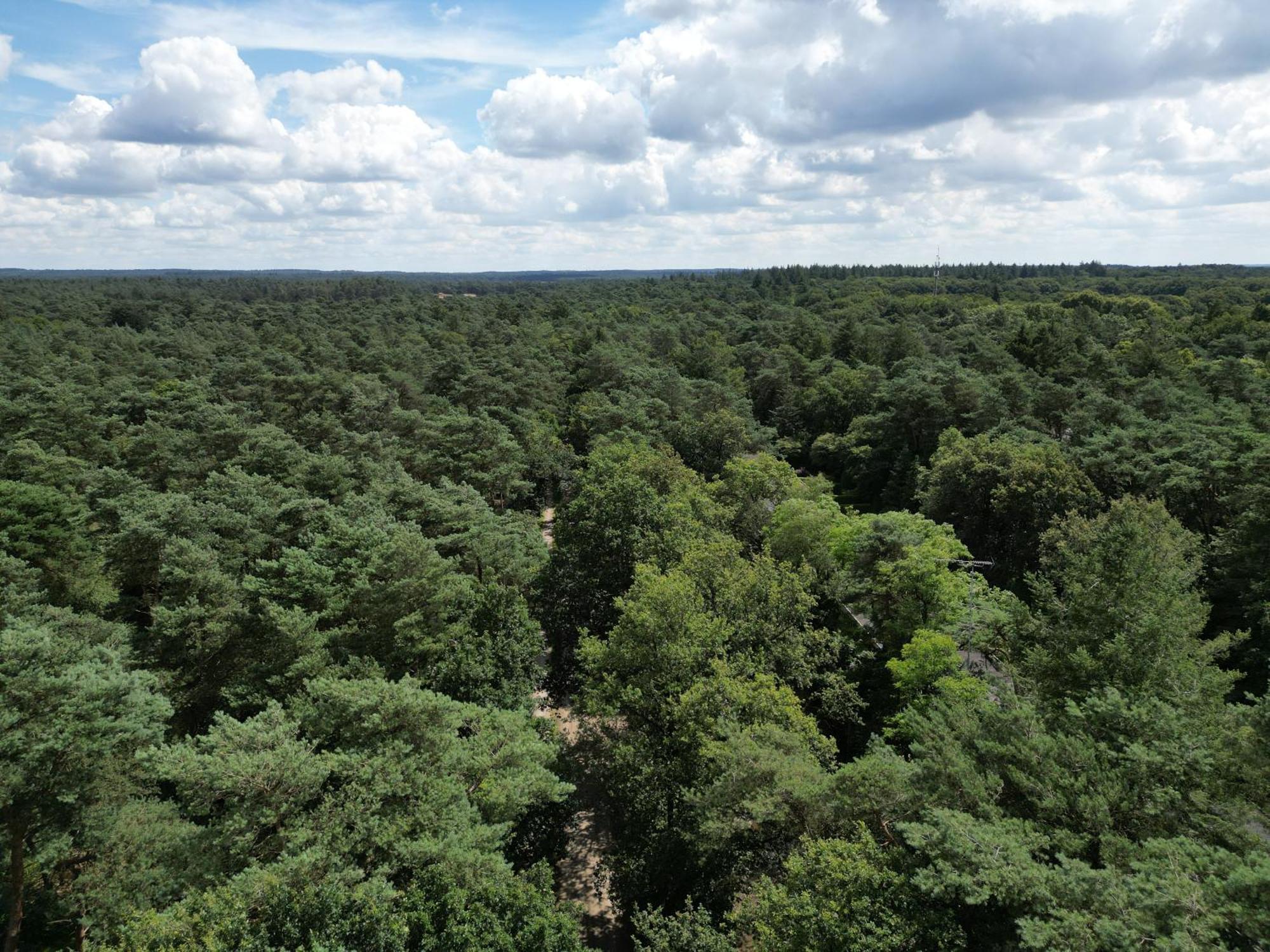 Modern Natuurhuisje Midden In Het Bos Op De Veluwe - Beau Home Otterlo Exterior photo