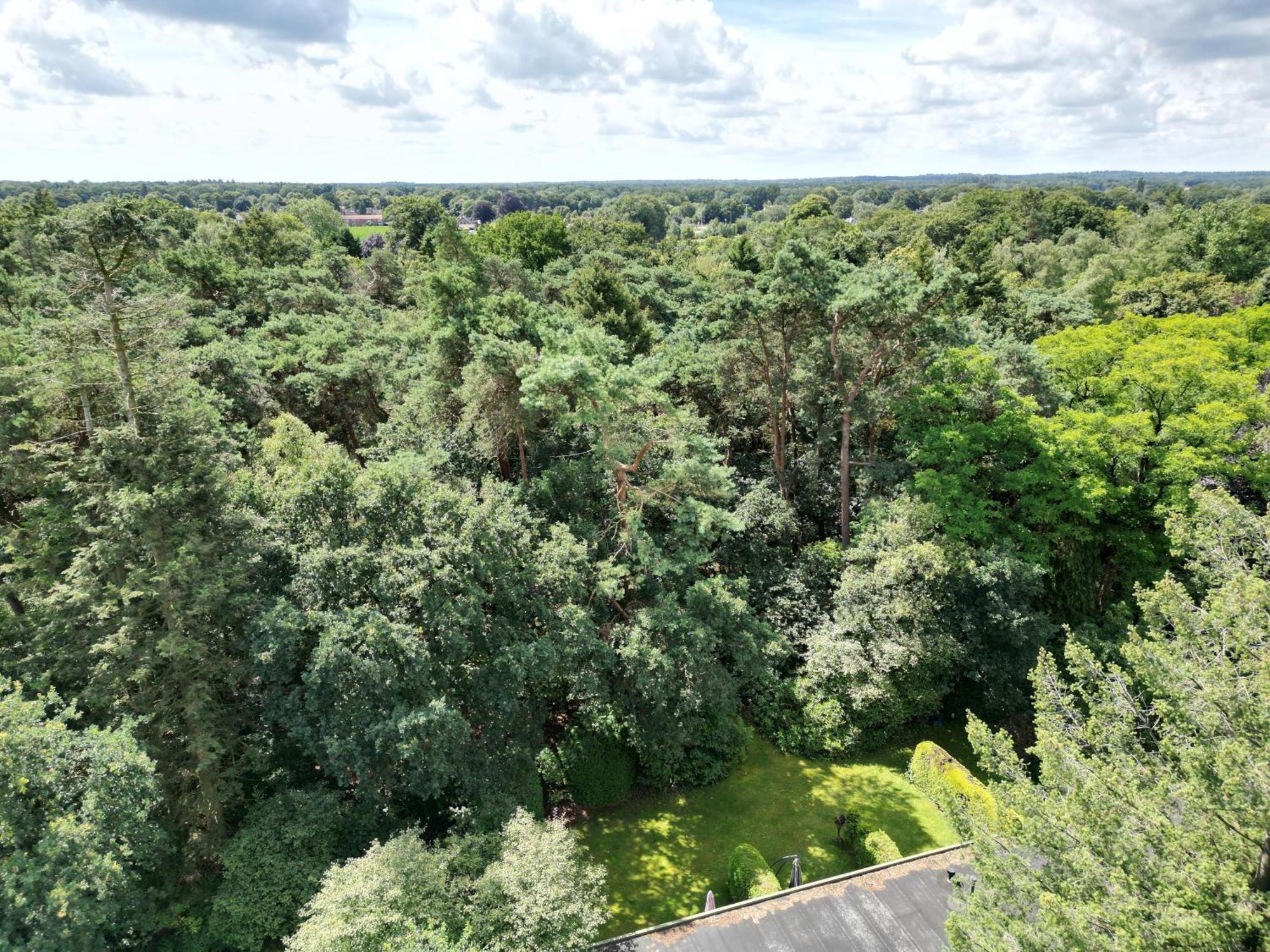 Modern Natuurhuisje Midden In Het Bos Op De Veluwe - Beau Home Otterlo Exterior photo